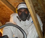 Mould remediation expert wearing proper safety gear