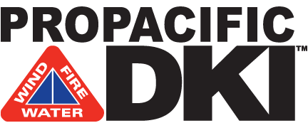 Pro Pacific DKI